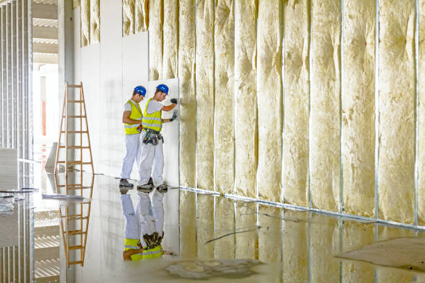 Best Insulation Maintenance and Repair in Gananda, NY